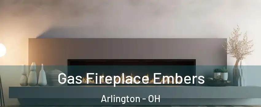 Gas Fireplace Embers Arlington - OH