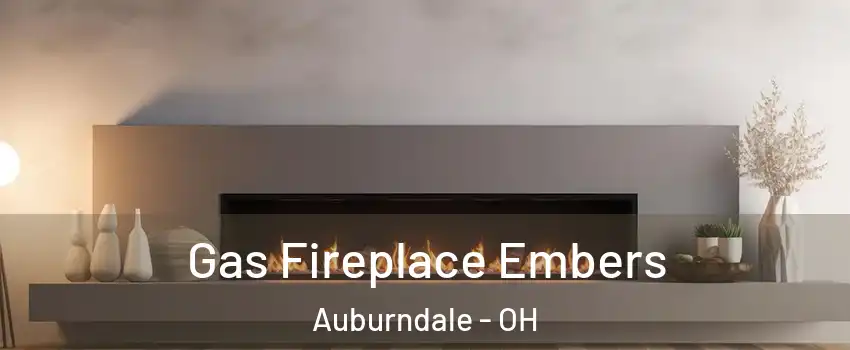 Gas Fireplace Embers Auburndale - OH