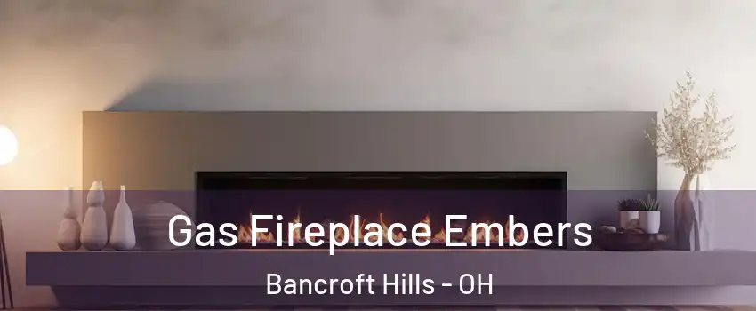 Gas Fireplace Embers Bancroft Hills - OH