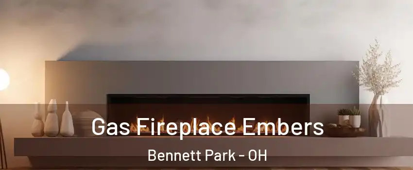 Gas Fireplace Embers Bennett Park - OH
