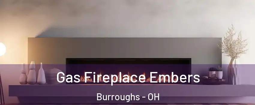 Gas Fireplace Embers Burroughs - OH