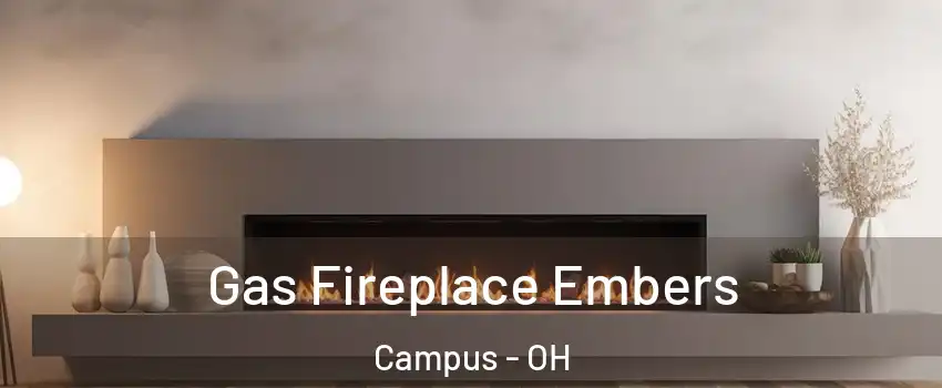 Gas Fireplace Embers Campus - OH
