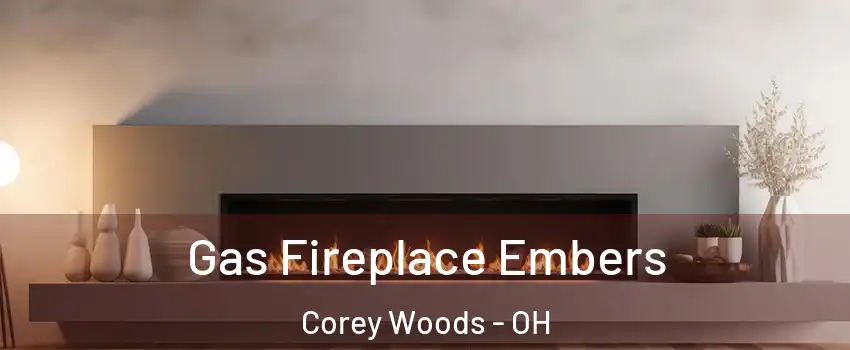 Gas Fireplace Embers Corey Woods - OH