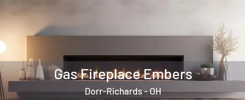 Gas Fireplace Embers Dorr-Richards - OH