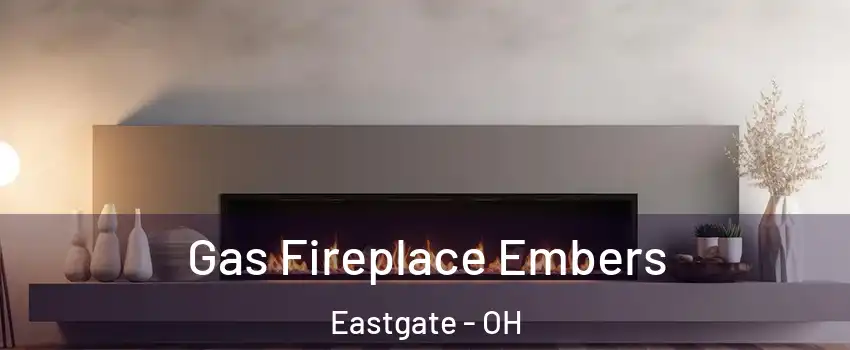 Gas Fireplace Embers Eastgate - OH