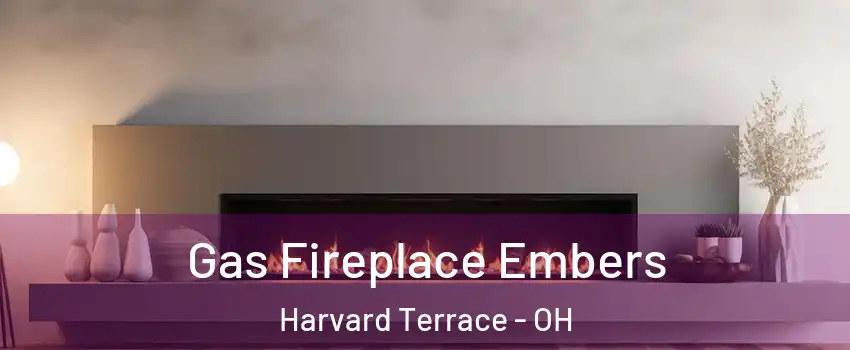 Gas Fireplace Embers Harvard Terrace - OH