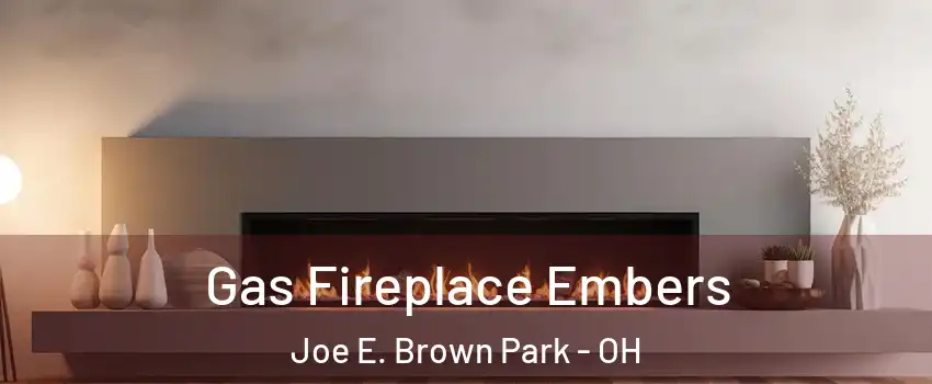 Gas Fireplace Embers Joe E. Brown Park - OH