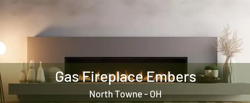 Gas Fireplace Embers North Towne - OH