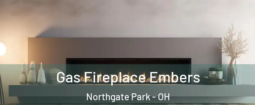Gas Fireplace Embers Northgate Park - OH