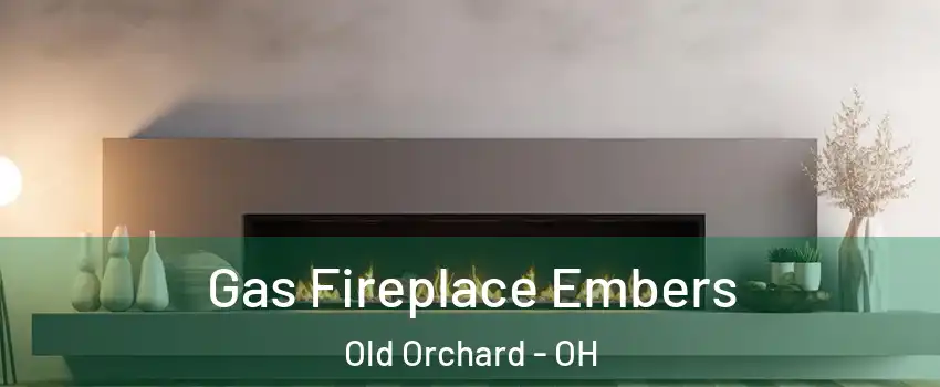 Gas Fireplace Embers Old Orchard - OH