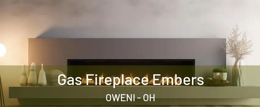 Gas Fireplace Embers OWENI - OH