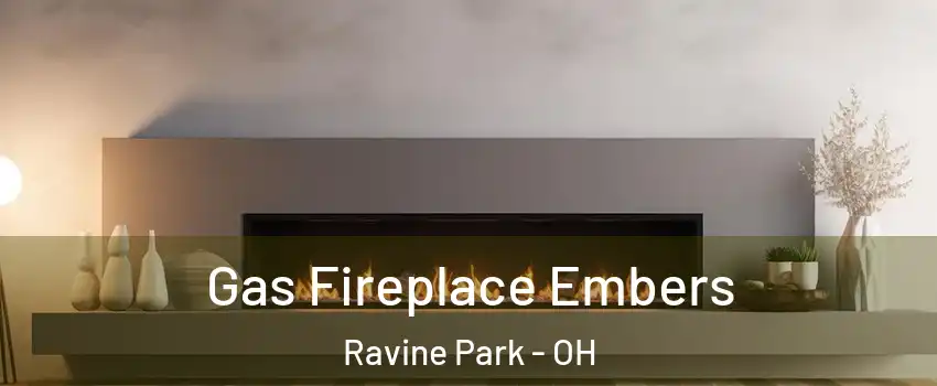 Gas Fireplace Embers Ravine Park - OH