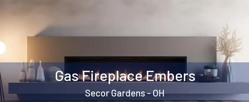 Gas Fireplace Embers Secor Gardens - OH