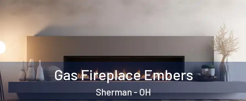 Gas Fireplace Embers Sherman - OH