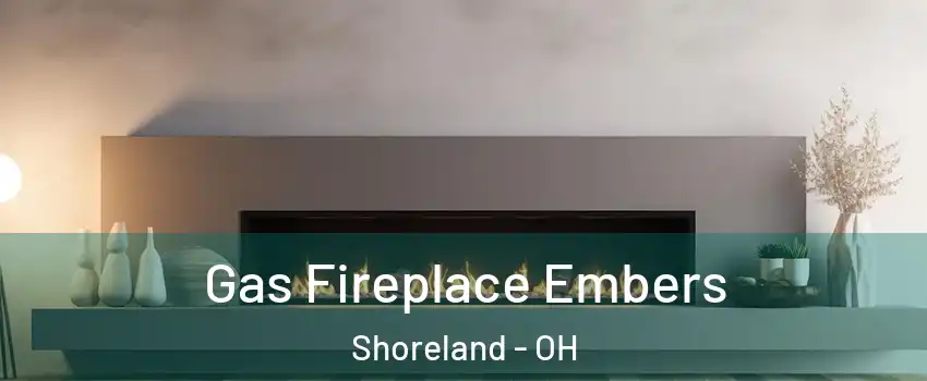 Gas Fireplace Embers Shoreland - OH