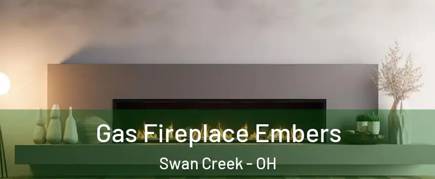 Gas Fireplace Embers Swan Creek - OH