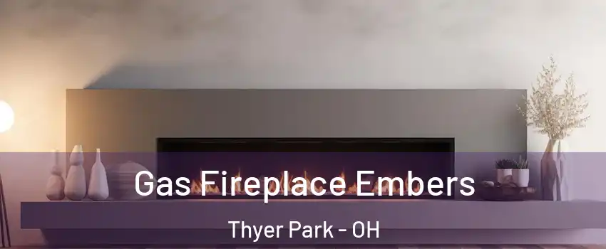 Gas Fireplace Embers Thyer Park - OH