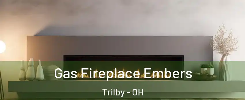 Gas Fireplace Embers Trilby - OH