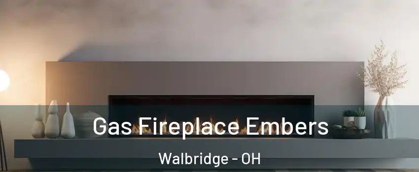Gas Fireplace Embers Walbridge - OH