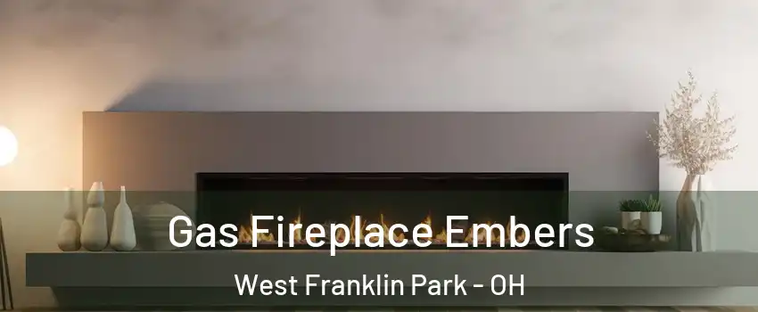 Gas Fireplace Embers West Franklin Park - OH