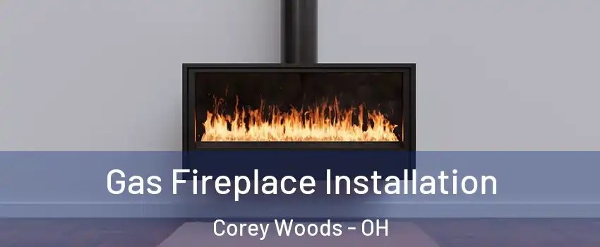 Gas Fireplace Installation Corey Woods - OH