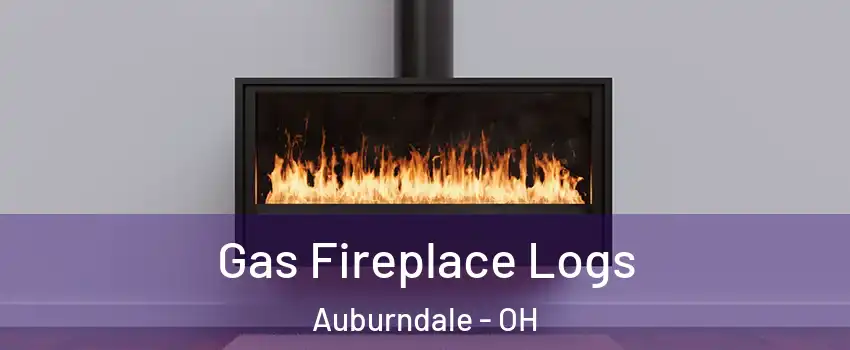 Gas Fireplace Logs Auburndale - OH