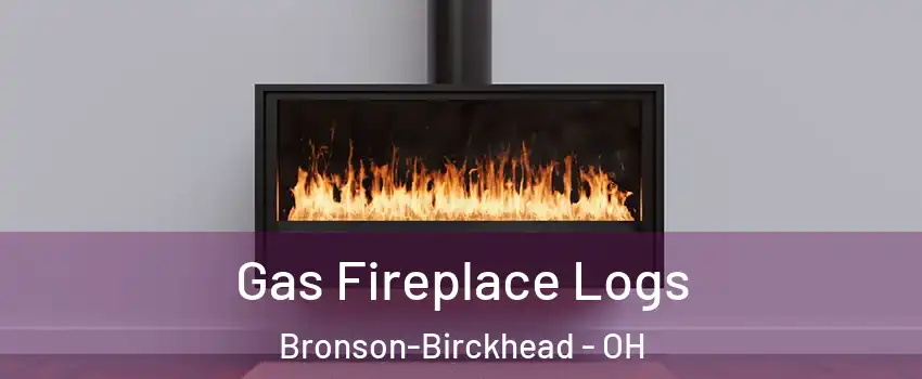 Gas Fireplace Logs Bronson-Birckhead - OH