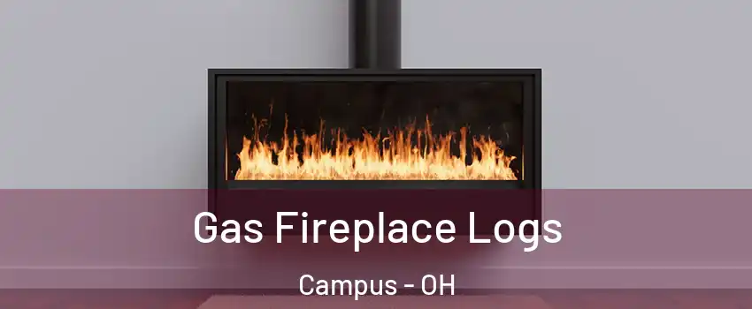 Gas Fireplace Logs Campus - OH