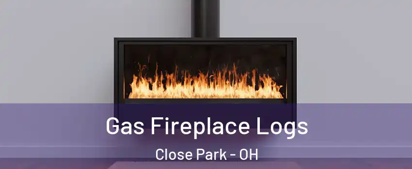 Gas Fireplace Logs Close Park - OH