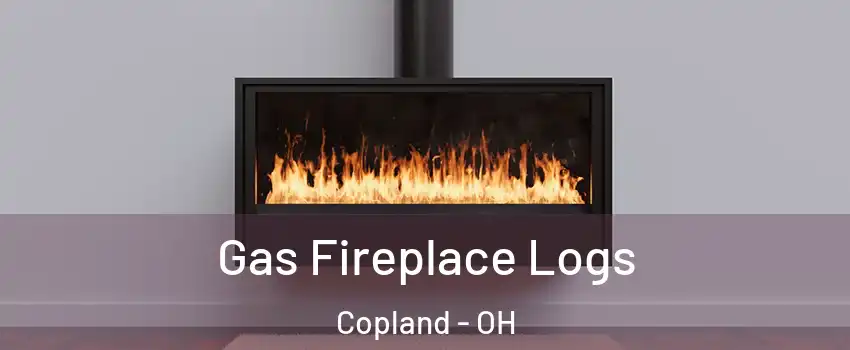 Gas Fireplace Logs Copland - OH