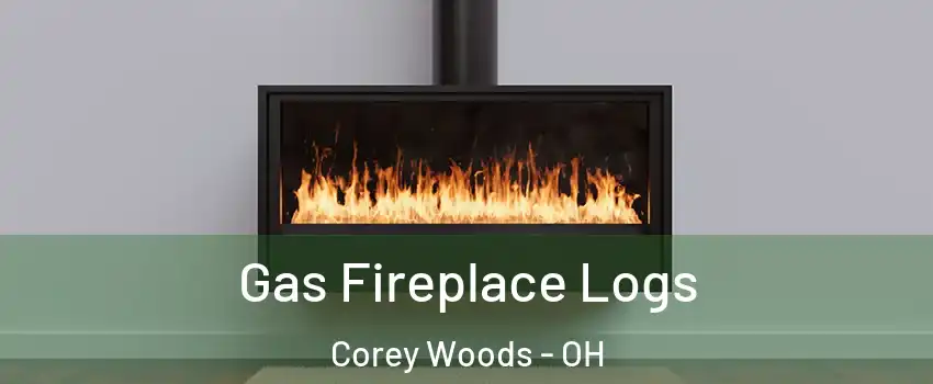 Gas Fireplace Logs Corey Woods - OH