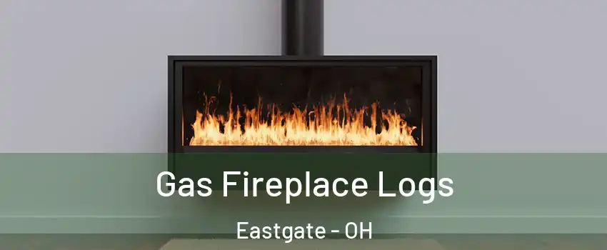 Gas Fireplace Logs Eastgate - OH