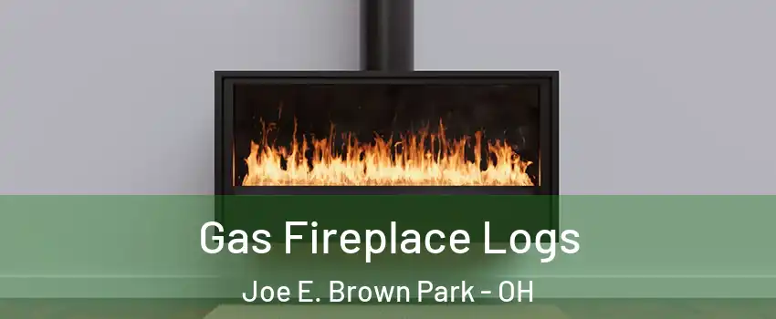 Gas Fireplace Logs Joe E. Brown Park - OH