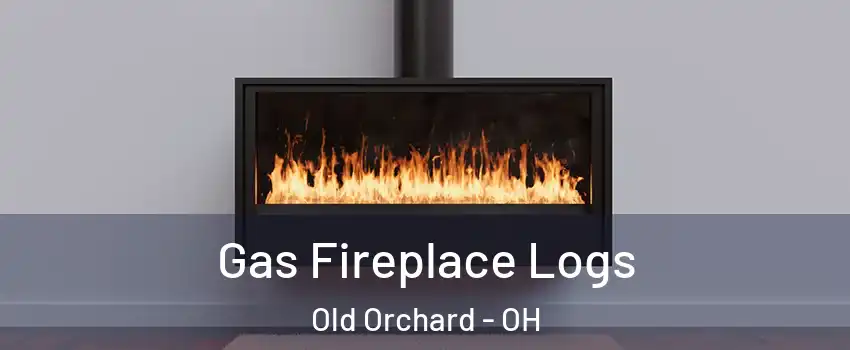 Gas Fireplace Logs Old Orchard - OH