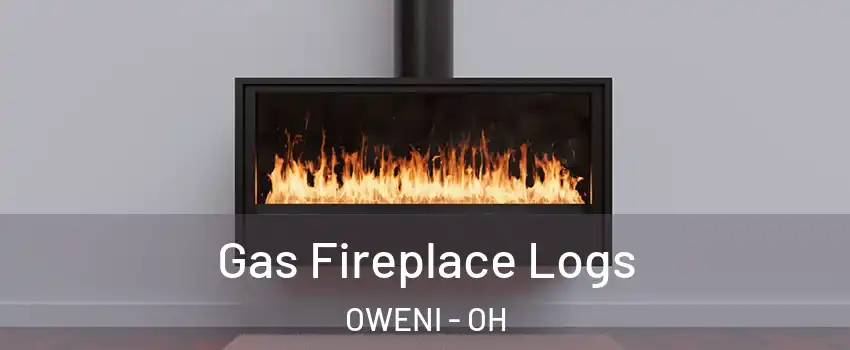 Gas Fireplace Logs OWENI - OH
