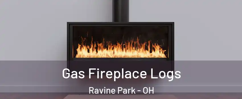 Gas Fireplace Logs Ravine Park - OH