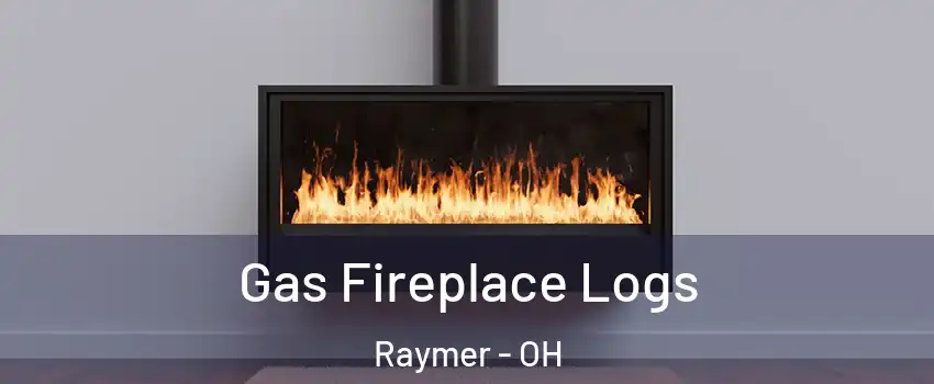 Gas Fireplace Logs Raymer - OH