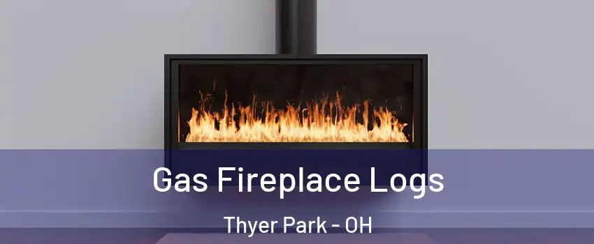 Gas Fireplace Logs Thyer Park - OH