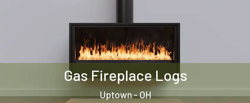 Gas Fireplace Logs Uptown - OH