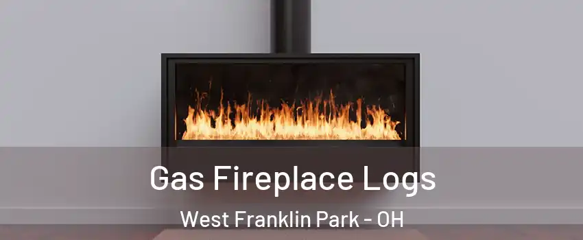 Gas Fireplace Logs West Franklin Park - OH