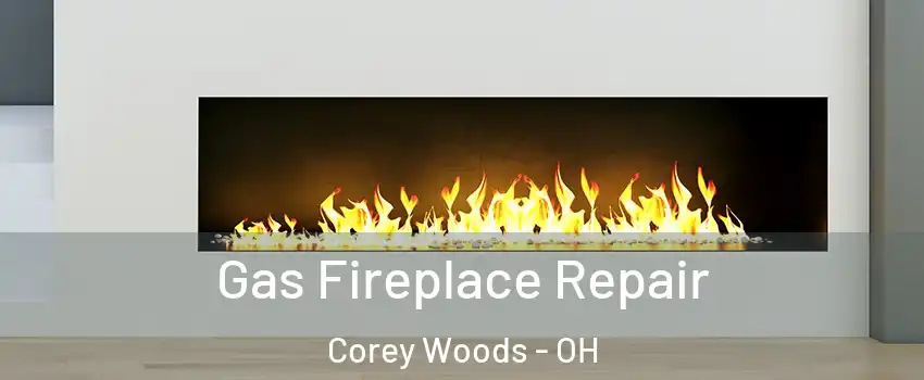 Gas Fireplace Repair Corey Woods - OH