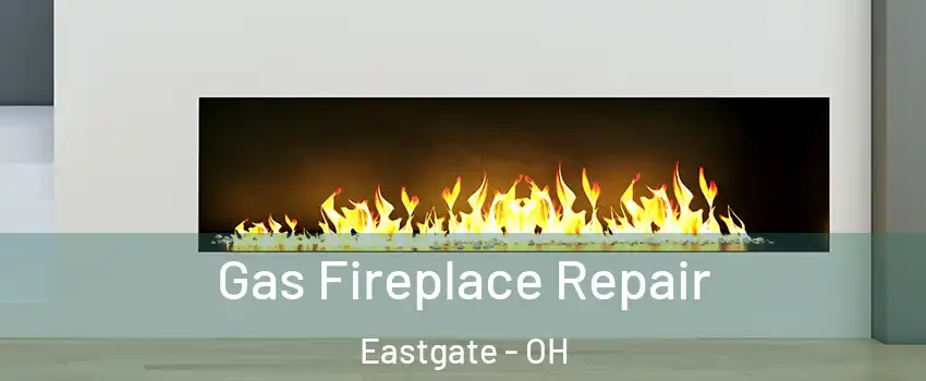 Gas Fireplace Repair Eastgate - OH