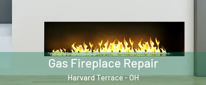 Gas Fireplace Repair Harvard Terrace - OH