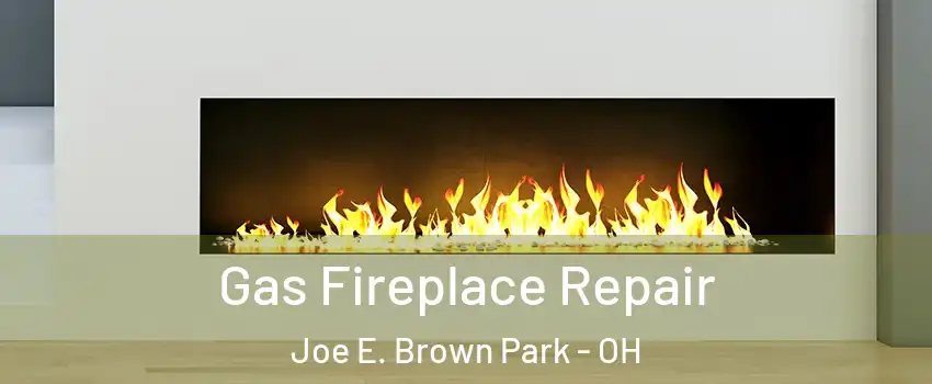 Gas Fireplace Repair Joe E. Brown Park - OH