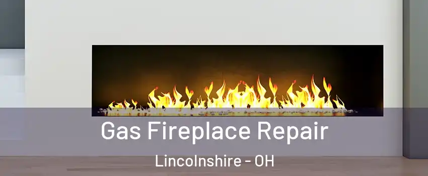 Gas Fireplace Repair Lincolnshire - OH