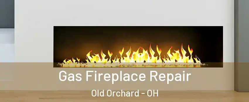 Gas Fireplace Repair Old Orchard - OH