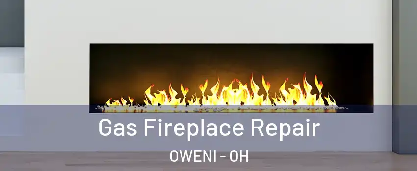 Gas Fireplace Repair OWENI - OH