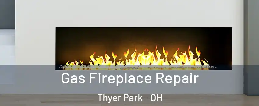 Gas Fireplace Repair Thyer Park - OH
