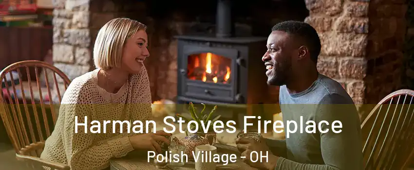 Harman Stoves Fireplace Polish Village - OH