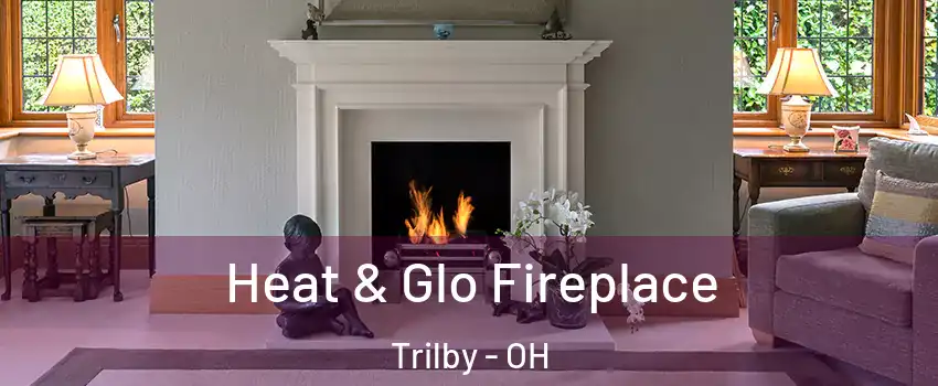 Heat & Glo Fireplace Trilby - OH